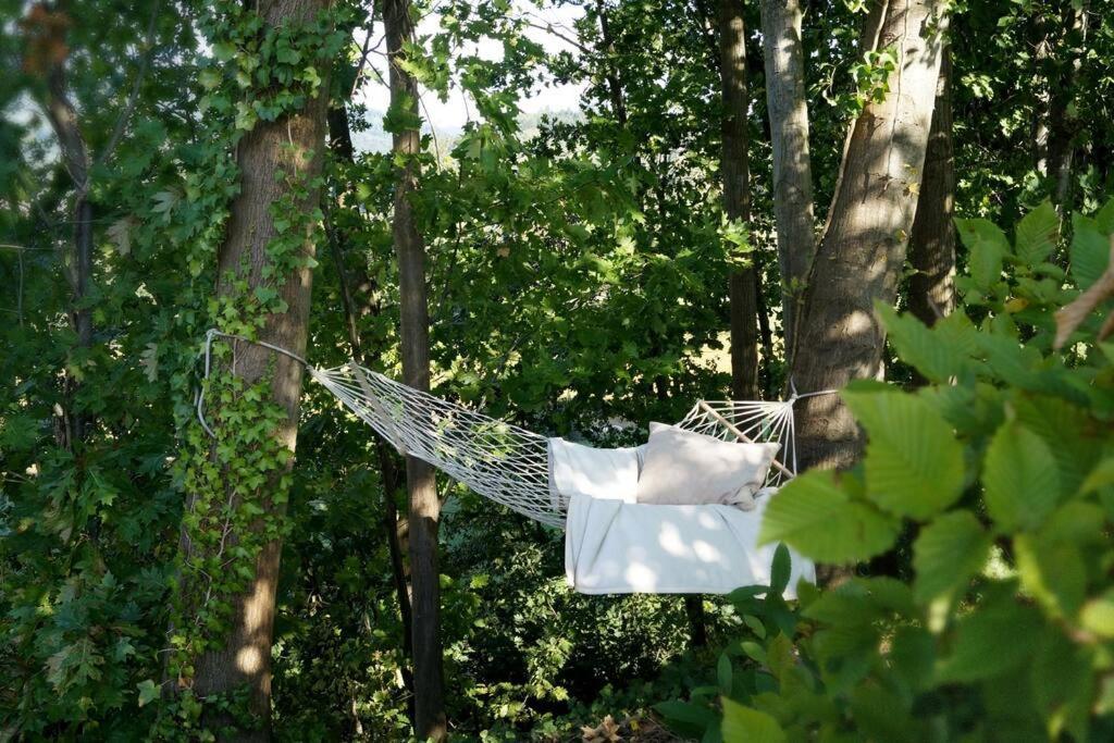 Wohnung Am Fusse Des Schwarzwalds Oberkirch Kültér fotó