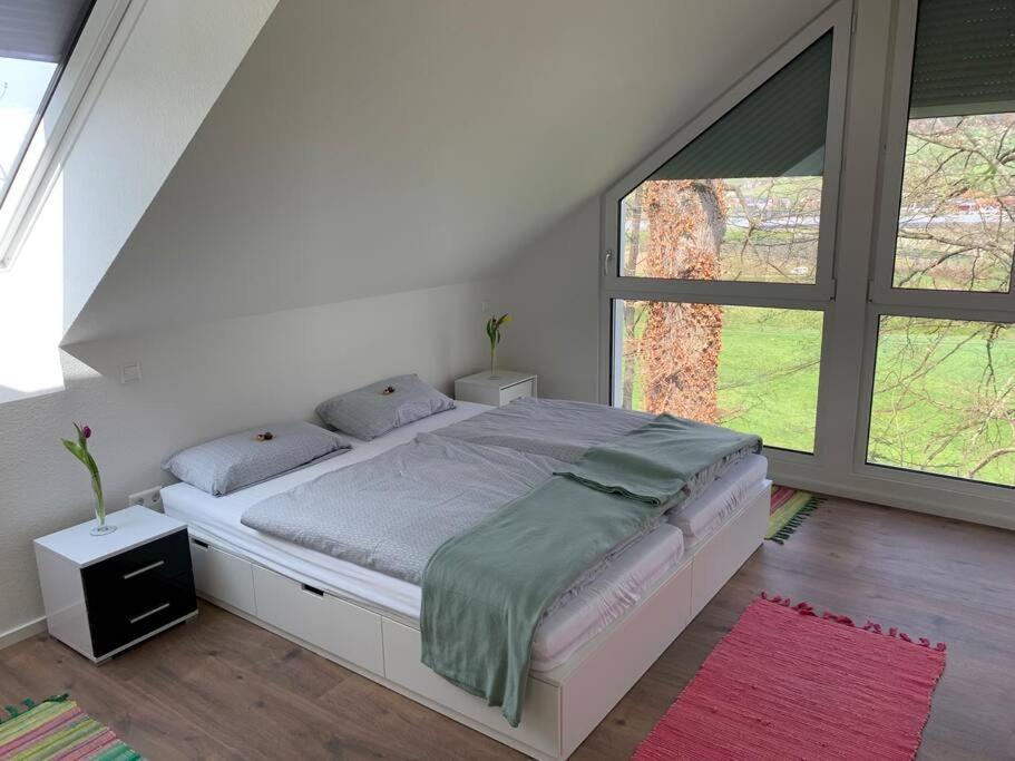 Wohnung Am Fusse Des Schwarzwalds Oberkirch Kültér fotó