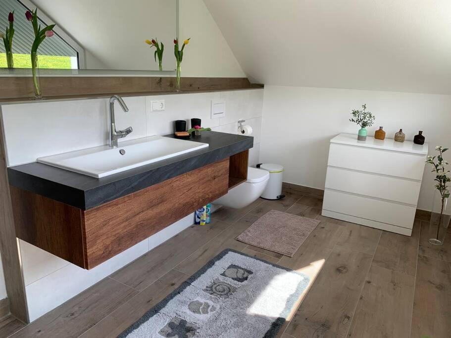 Wohnung Am Fusse Des Schwarzwalds Oberkirch Kültér fotó