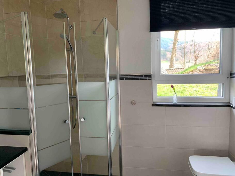 Wohnung Am Fusse Des Schwarzwalds Oberkirch Kültér fotó