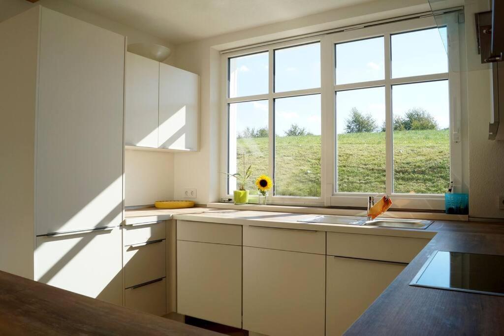 Wohnung Am Fusse Des Schwarzwalds Oberkirch Kültér fotó