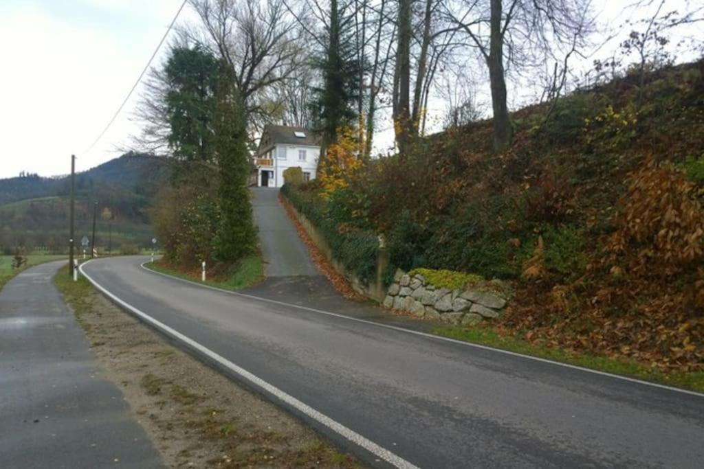 Wohnung Am Fusse Des Schwarzwalds Oberkirch Kültér fotó
